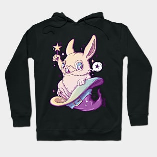 Hoppy Wizard bunny magic pun Hoodie